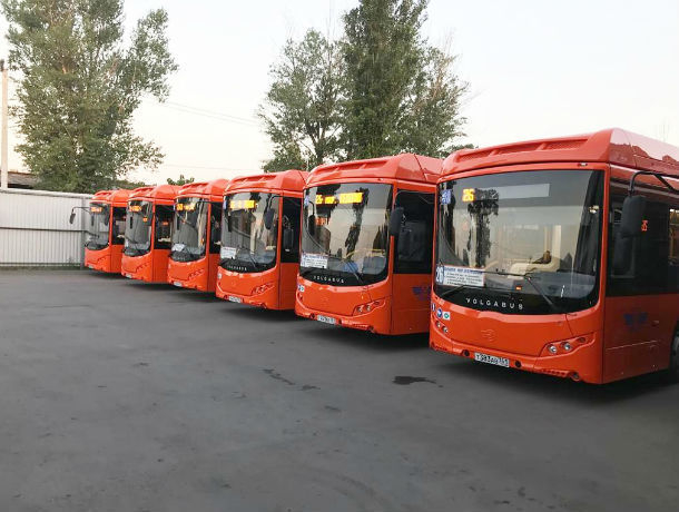 На три ростовских маршрута вышли новые автобусы с кондиционерами