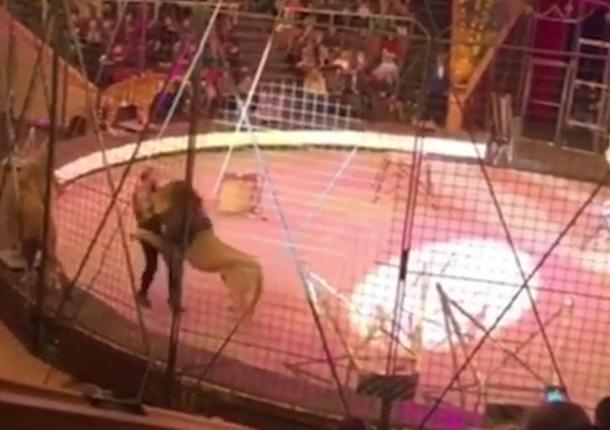 Цирковой лев, пару дней просидевший на ростовской таможне, напал на своего дрессировщика