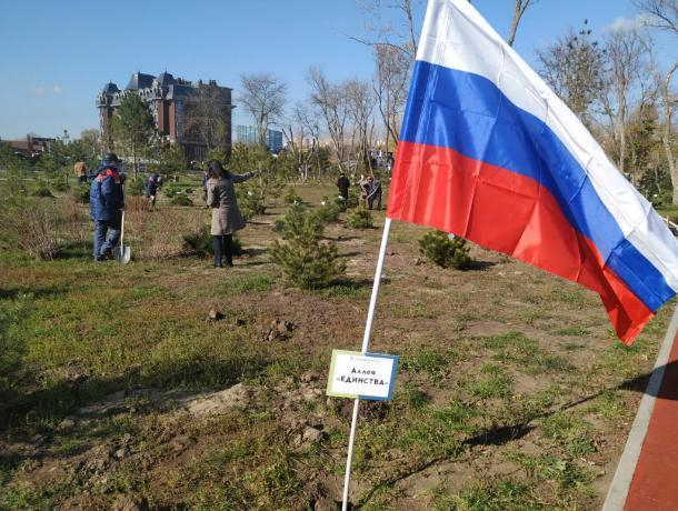 В Ростове в парке «Левобережный» создадут систему полива деревьев