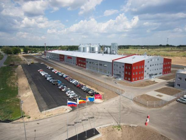 Кондитерская фабрика «Мишкино» в Ростовской области останавливает производство