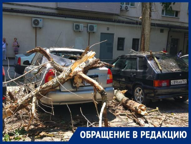 В центре Ростова сухой тополь упал на припаркованные автомобили