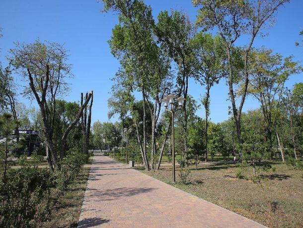 Губернатор раскритиковал власти Ростова за Левобережный парк