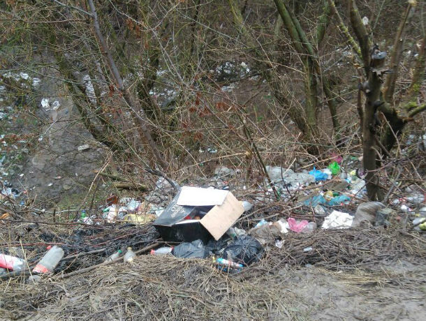 Трупами собак и строительным мусором забросали целебный родник в Ростовской области