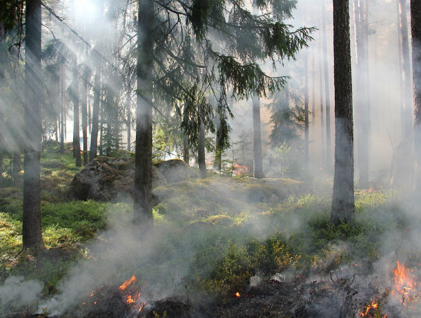 Спасатели предупредили ростовчан о высокой пожароопасности
