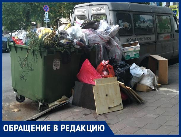 Жители Ростова пожаловались на зловонные мусорные баки в центре города
