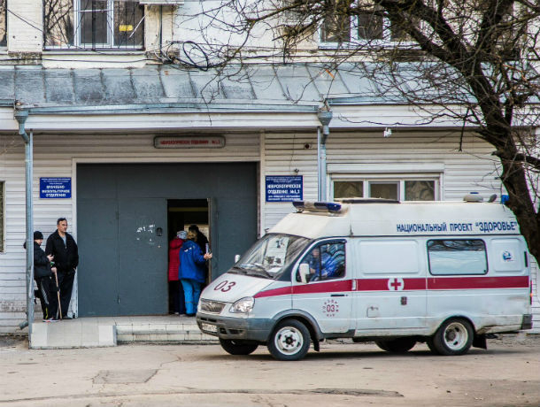 В Ростовской области 11 человек заболели лихорадкой из-за укуса комара