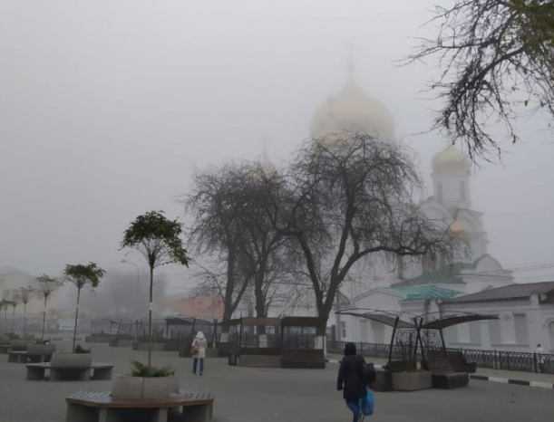 Из-за тумана резко снизится видимость на дорогах Ростова
