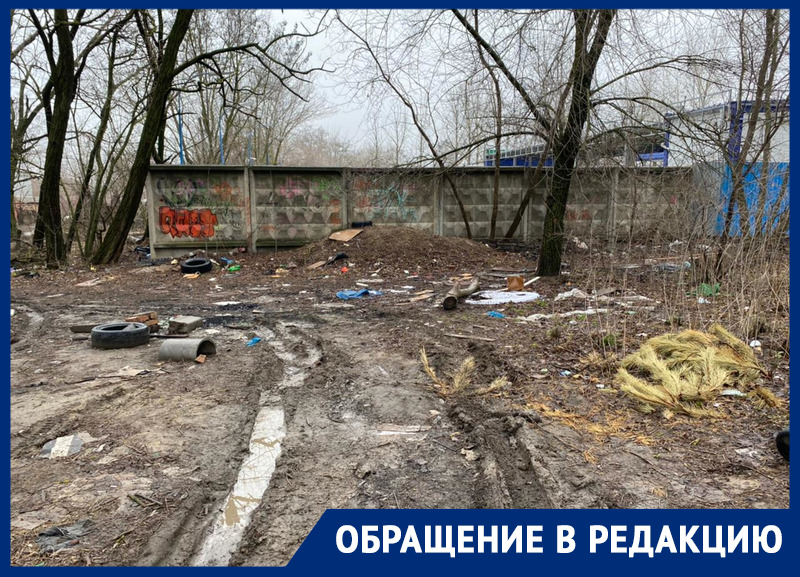 «Не видела города грязнее»: на вечную свалку возле дома пожаловалась жительница Ростова