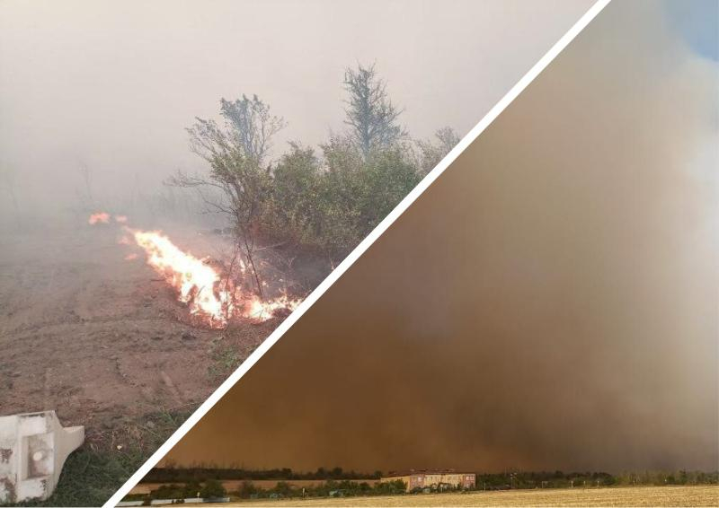 В Усть-Донецком районе лесной пожар перекинулся на жилые дома