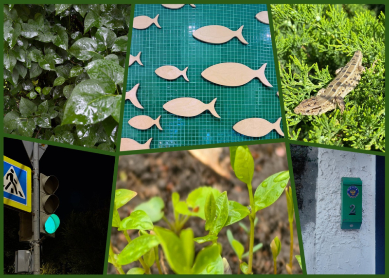 MyCollages - 2026-09-14T105240.483.jpg