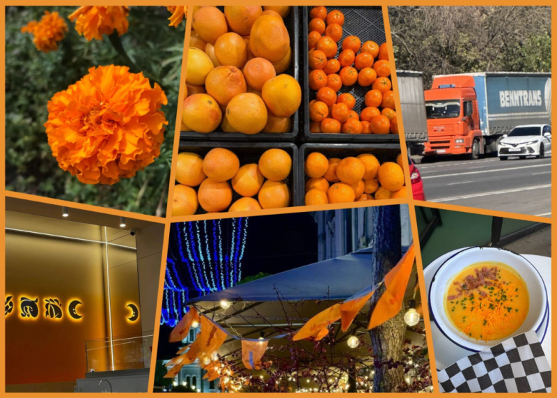 MyCollages - 2026-09-14T105800.608.jpg