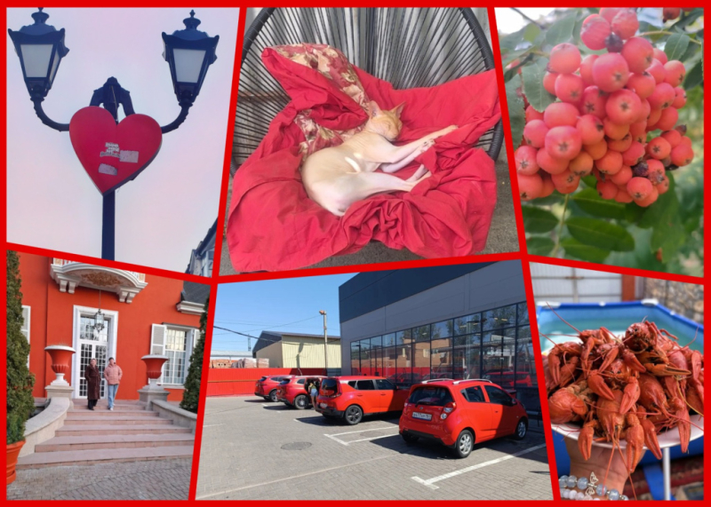 MyCollages - 2026-09-14T105535.924.jpg