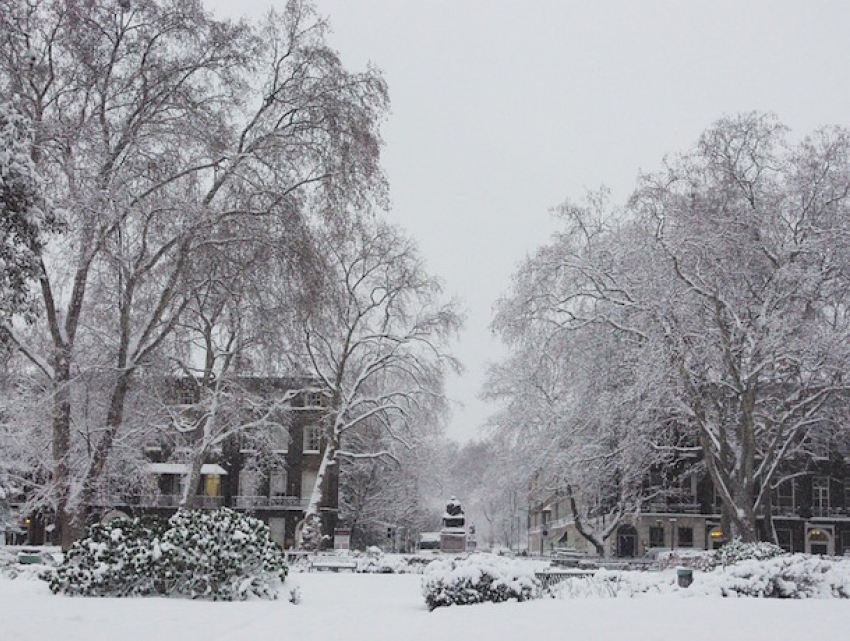 Прогноз на 30 декабря: зима к Новому году как по заказу