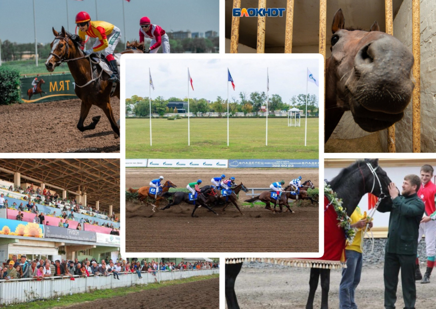 Ростовский ипподром снова принадлежит государству после тридцати лет скитаний