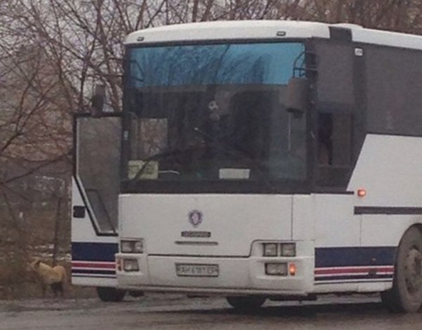 Выезды из Ростова перекрыты из-за сообщения о террористке в пассажирском автобусе. Фото