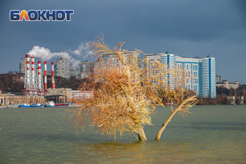 В Ростове выходные начнутся с тепла и умеренного ветра