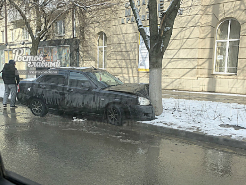 «Поцеловавшего» дерево «взасос» незадачливого автомобилиста высмеяли жители Ростова