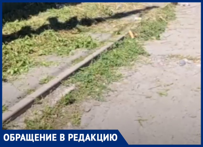 Хотели как лучше: в Ростове после покоса травы тротуар стал непроходимым