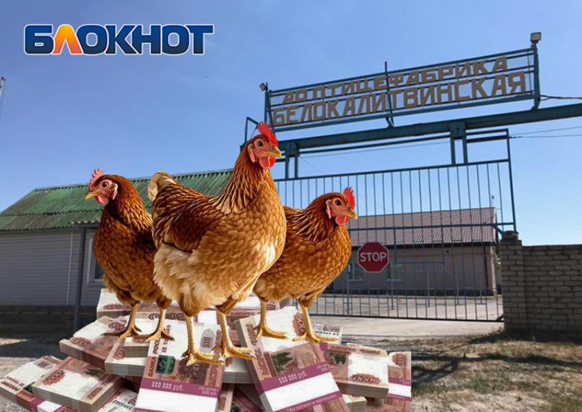 Разоренная долгами и скандалами – «Птицефабрика Белокалитвинская» завершает свою историю как банкрот