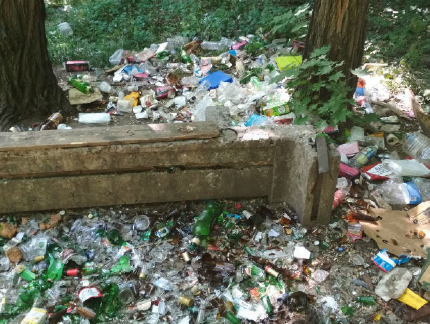 "Национальное достояние» завалили мусором и помоями в Ростове