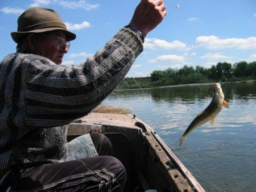 В Ростовской области за пять лет сократились объемы добычи рыбы