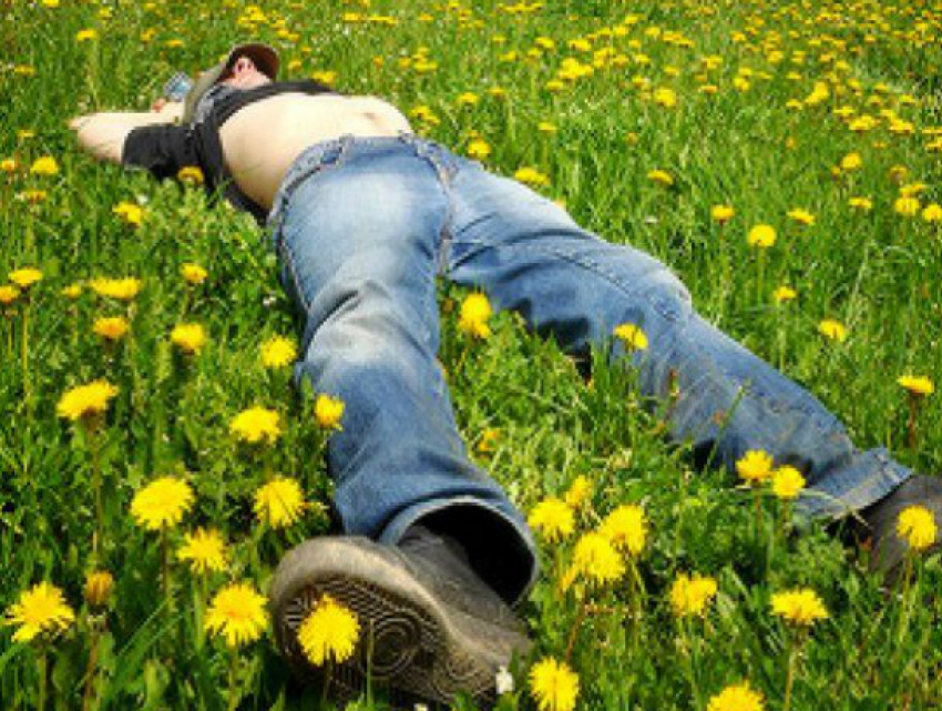 Ласковое солнышко пригреет жителей Ростова в начале этой короткой рабочей недели