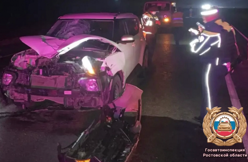 В Ростовской области насмерть сбили женщину в темной одежде