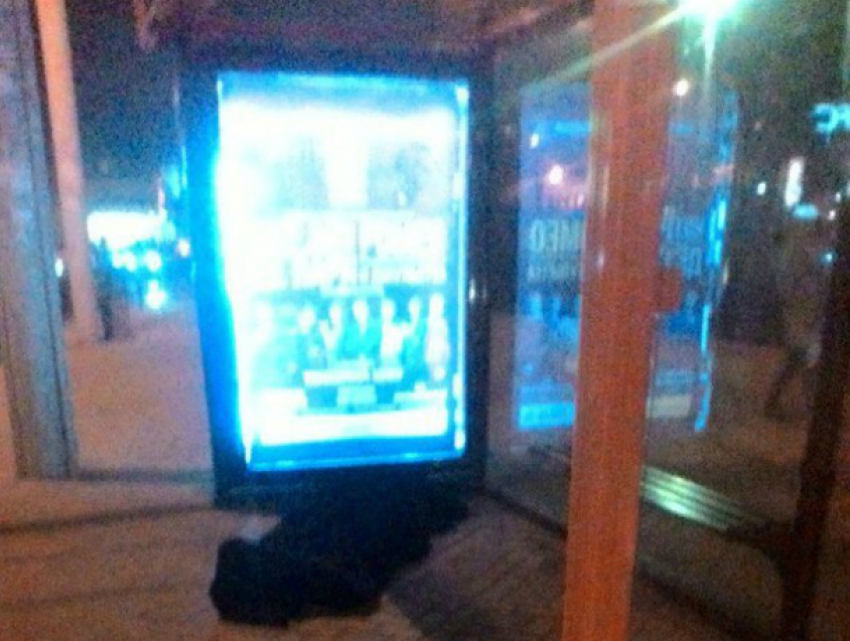 Лежащий на остановке мертвый мужчина шокировал пассажиров автовокзала в Ростове