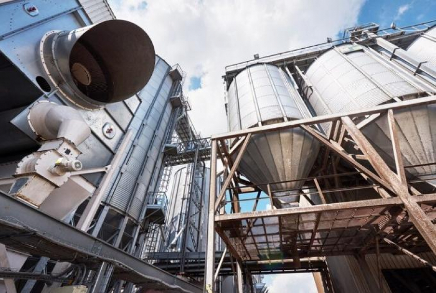 В Ростовской области запуск маслоэстракционных заводов завершат в 2025 году