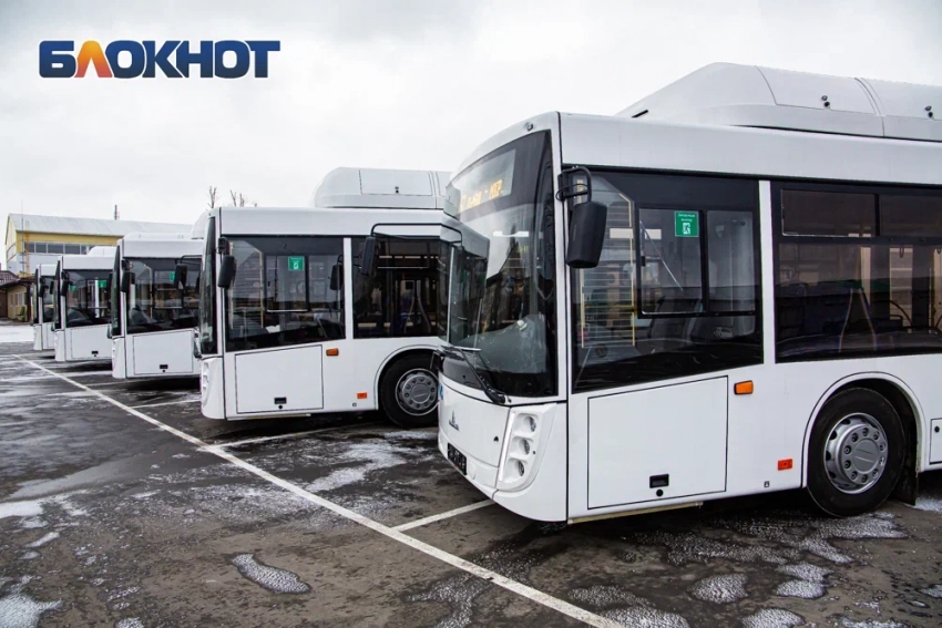 Донские власти обещают сохранить автобусные маршруты Новочеркасска