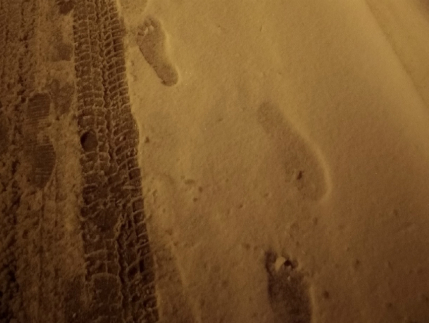 Загадочные следы снежного человека у здания ЮФУ рассмешили ростовчан