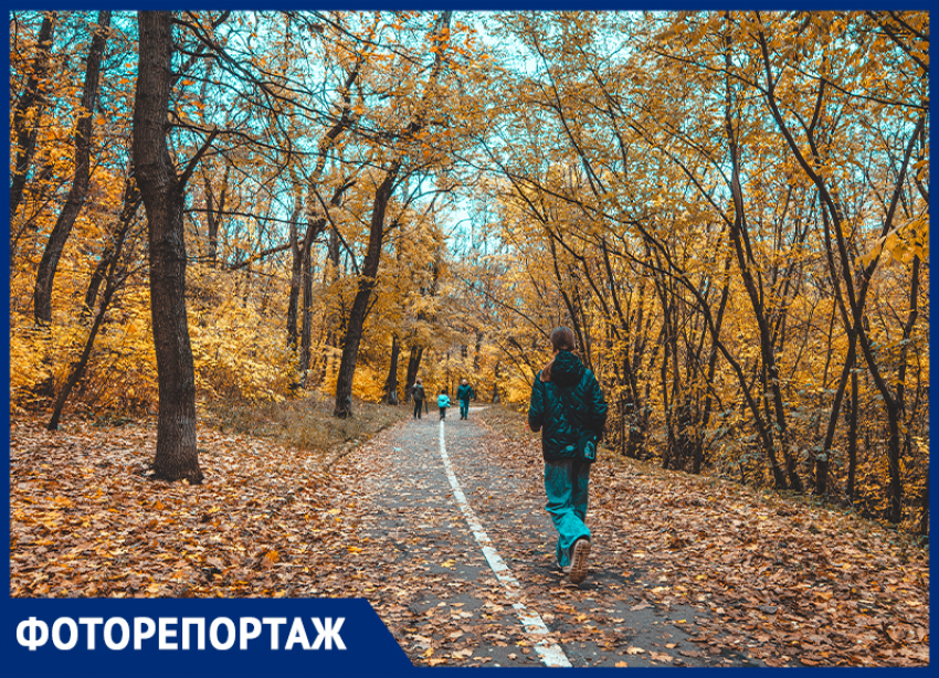 Темнота, мусор и старые площадки: осень в парке Авиаторов глазами ростовчан