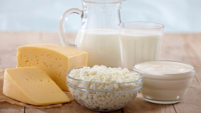 Проверку молока, сыра и масла провели в Ростовской области