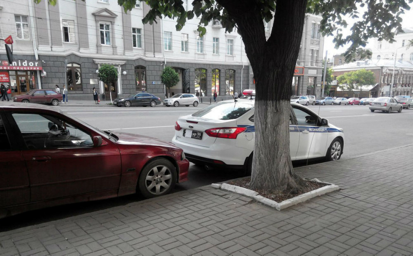 Московская полиция научила ростовчан прятать номера от паркона