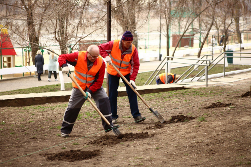 В парках Ростова высадят 736 деревьев и кустарников 9 апреля 
