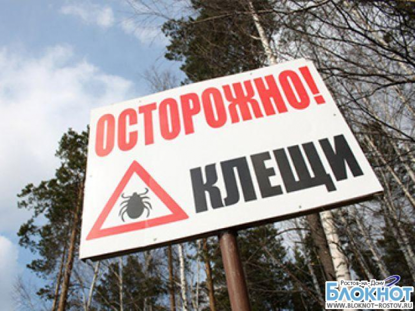 В Ростовской области с начала года от укуса клещей пострадал 121 человек