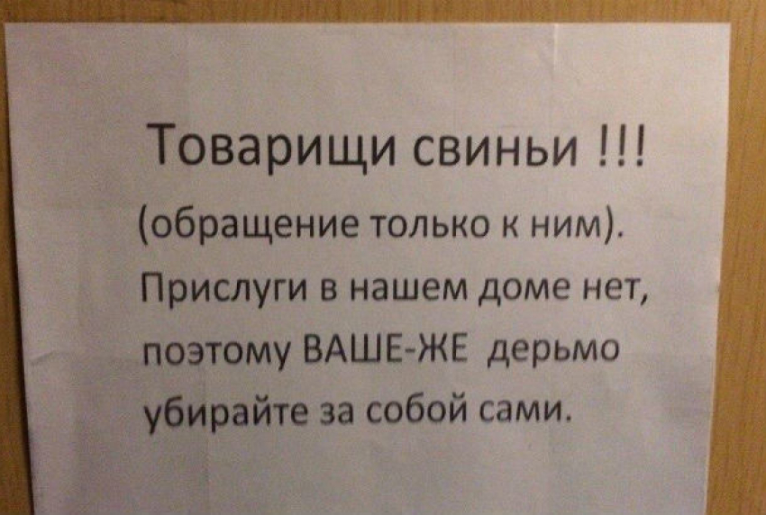 Оскорбительное фотообращение к «товарищам свиньям» появилось в лифтах многоэтажек Ростова
