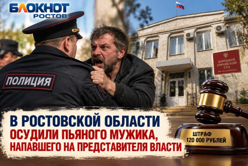 В Ростовской области осудили пьяного мужика, напавшего на представителя власти