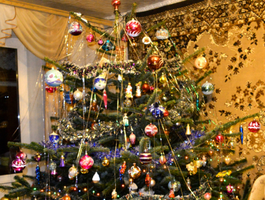 10 способов продлить жизнь новогодней елке