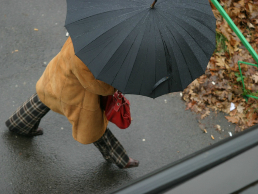 Согретый ласковым солнцем проливной дождь затопит дороги Ростова в последний день ноября
