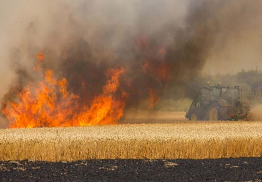 В Ростовской области пожары уничтожили 100 га пшеницы