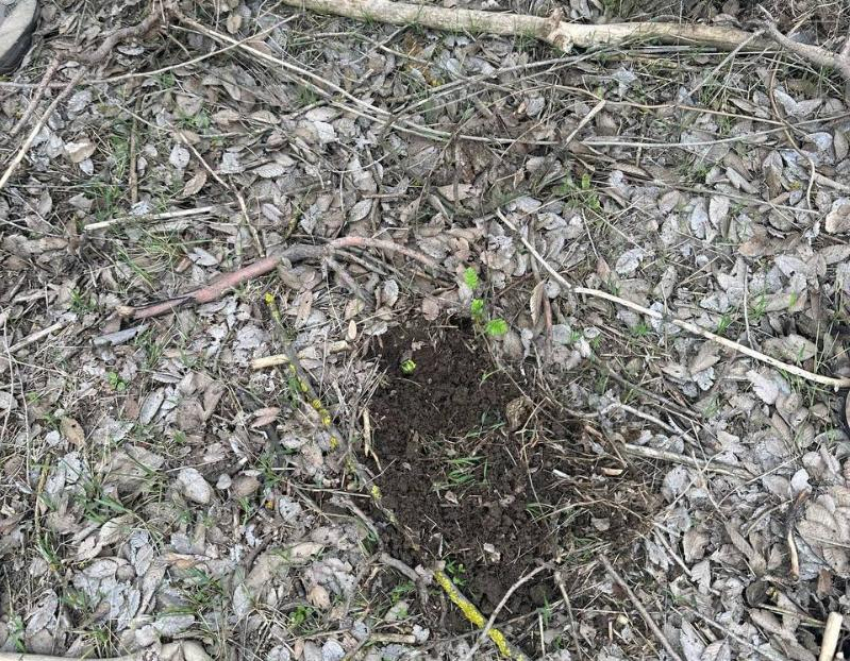 На «закладке» полицейские задержали дончанина, подозреваемого в хранении наркотиков 