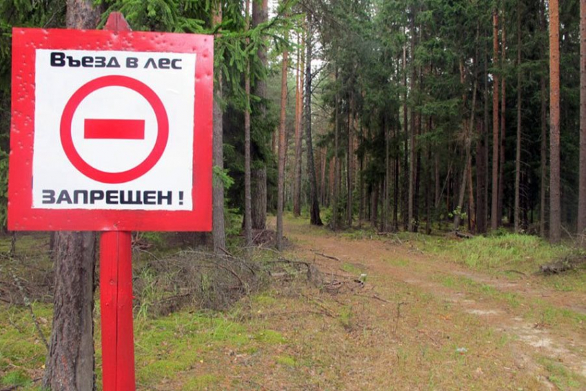 Власти Ростовской области объяснили запрет на охоту и посещение дач