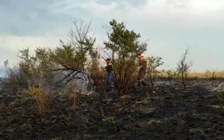 В Ростовской области возбудили уголовное дело по факту пожара в Усть-Донецком районе