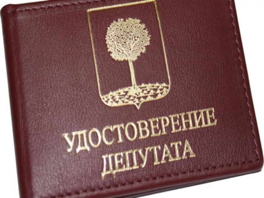 Скрывающего свои доходы депутата в Ростовской области лишили мандата и отправили на покой