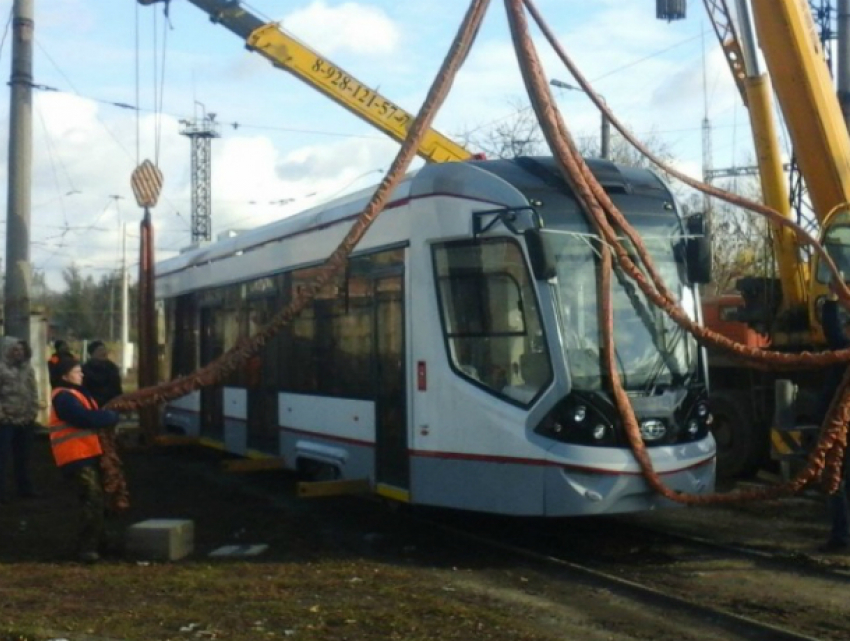 Специально подготовленные к ростовским условиям трамваи будут разъезжать по улицам города