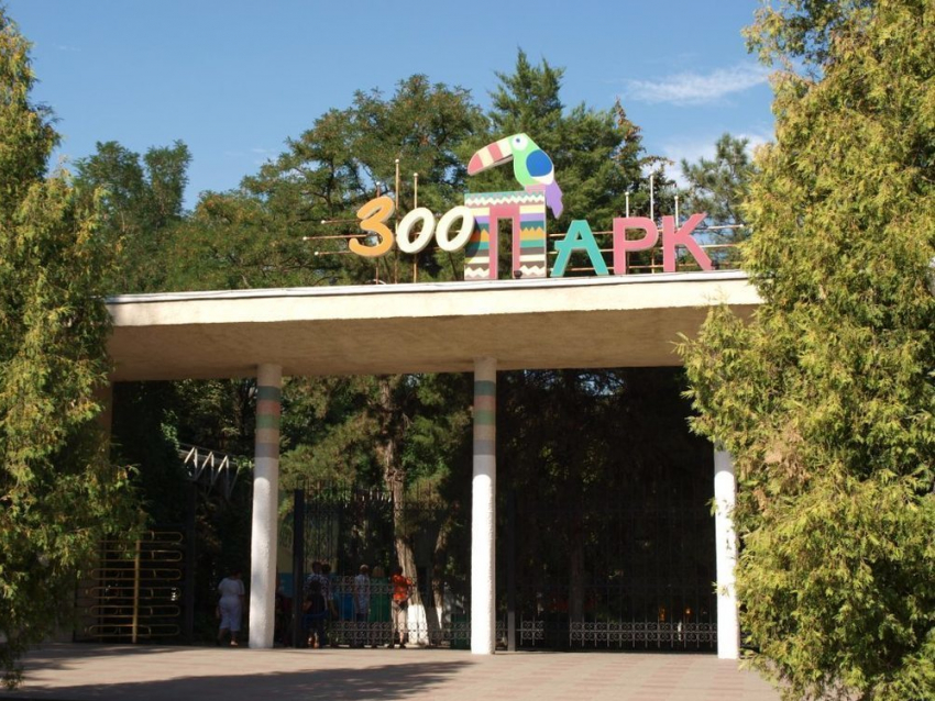 В День знаний ростовский зоопарк подготовил для юных ростовчан праздничную программу 