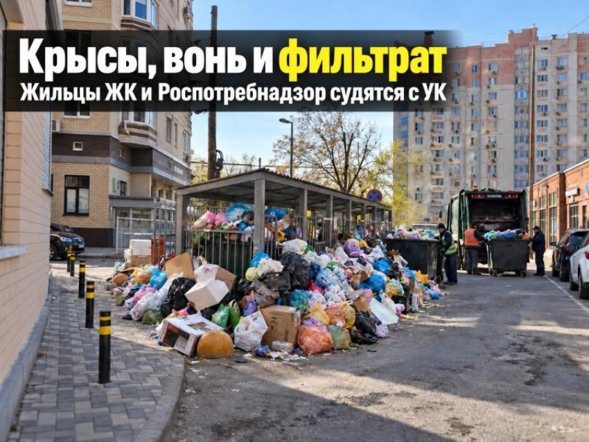 «Крысы и вонь»: жильцы ЖК и Роспотребнадзор судятся с УК из-за тонны мусора под окнами 