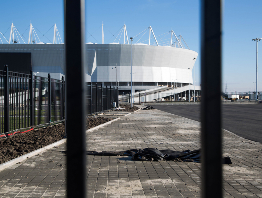 Вандалы украли четыре крымских ели возле нового стадиона «Ростов-Арена»