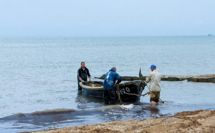 Из Азовского моря в Ростовской области могут исчезнуть лещ, судак и тарань